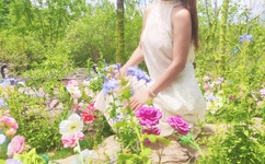 四川劫持事件幕后